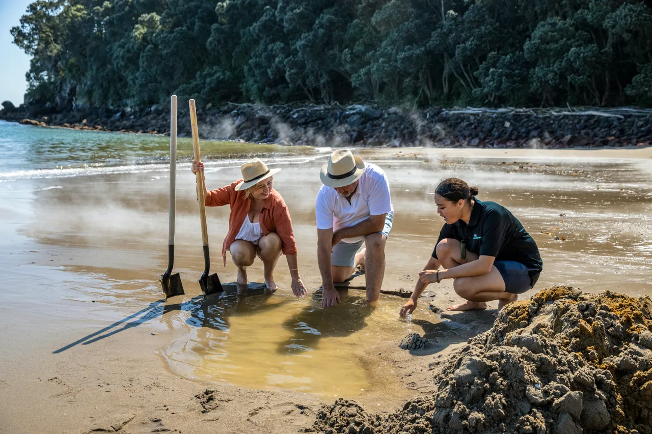 Moutohorā Island - Bay of Plenty
