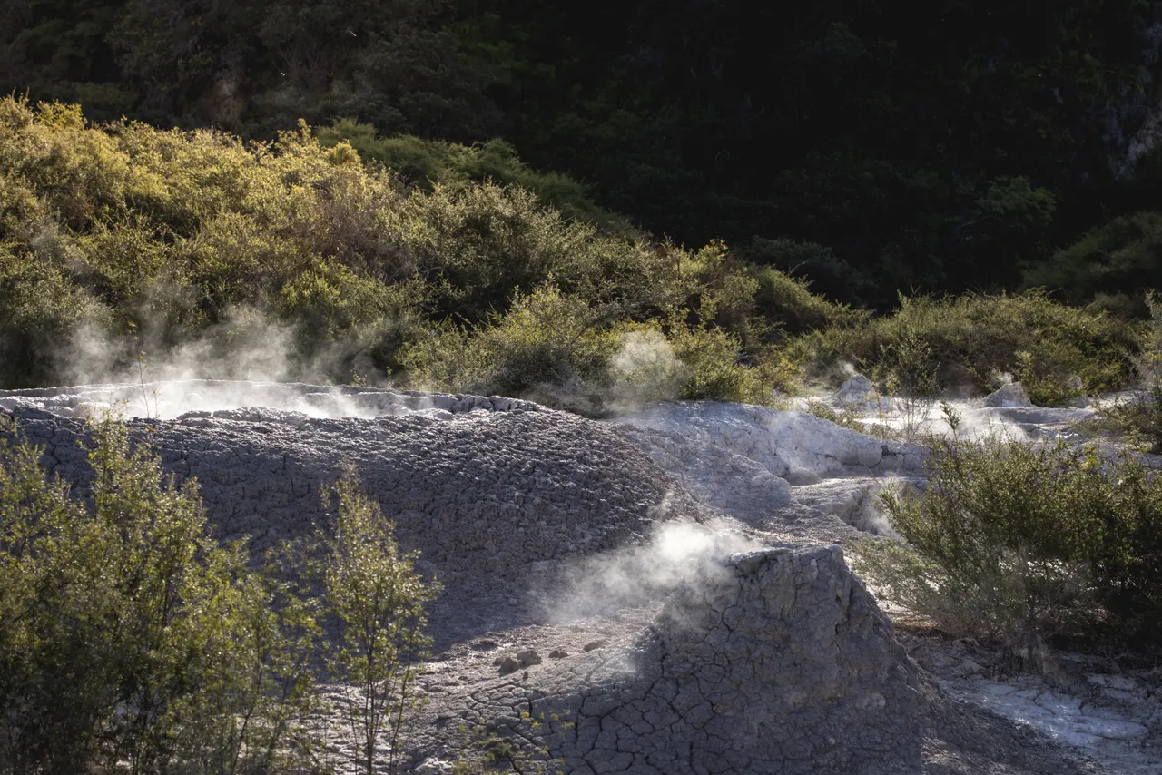 Rotorua, Bay of Plenty