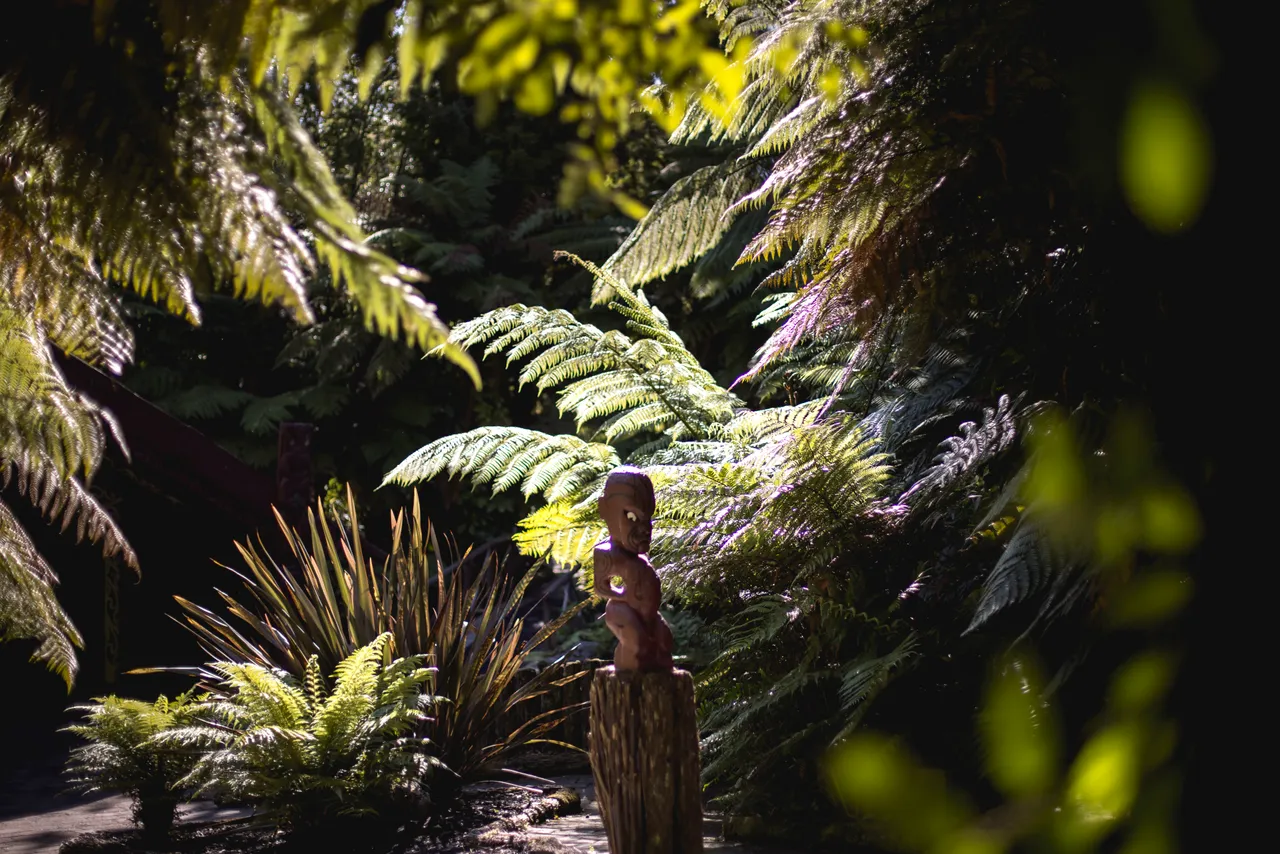 Rotorua, Bay of Plenty