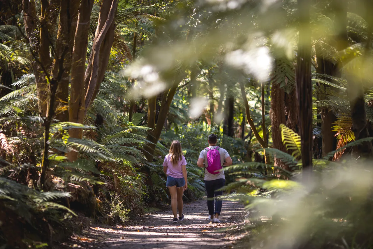 Rotorua, Bay of Plenty