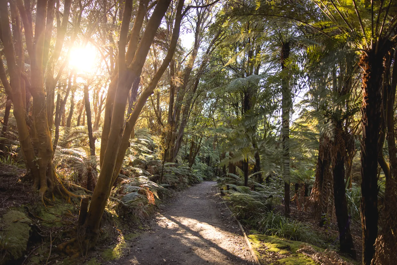 Rotorua, Bay of Plenty