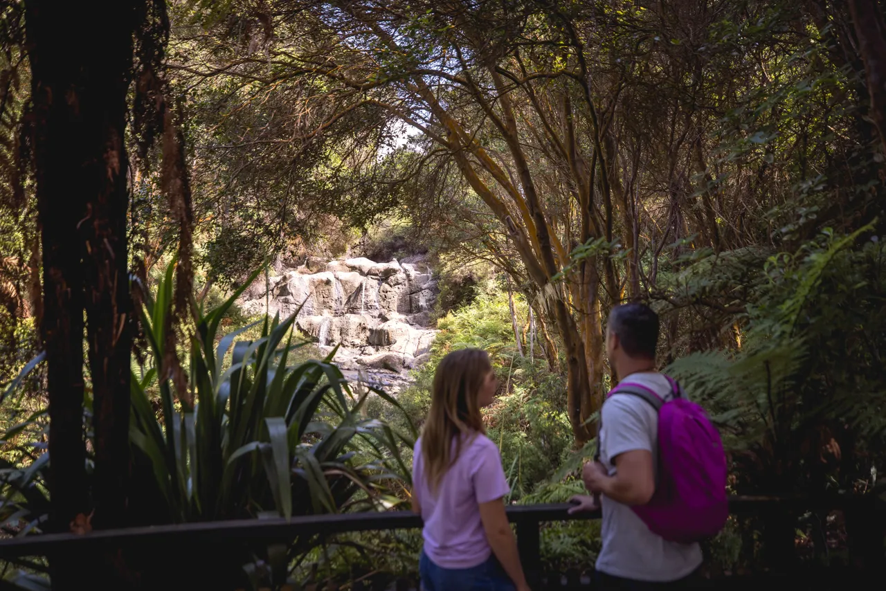 Rotorua, Bay of Plenty