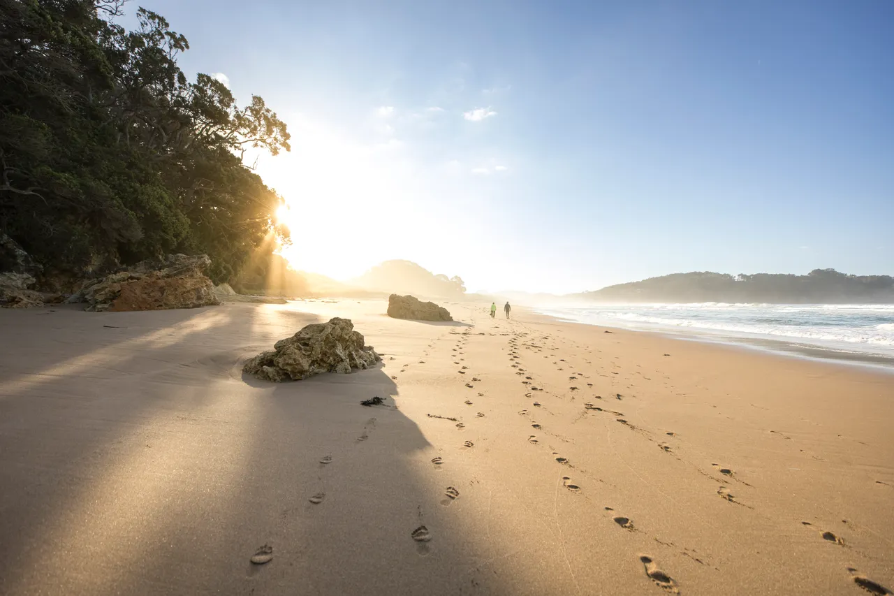Hot Water Beach, The Coromandel 