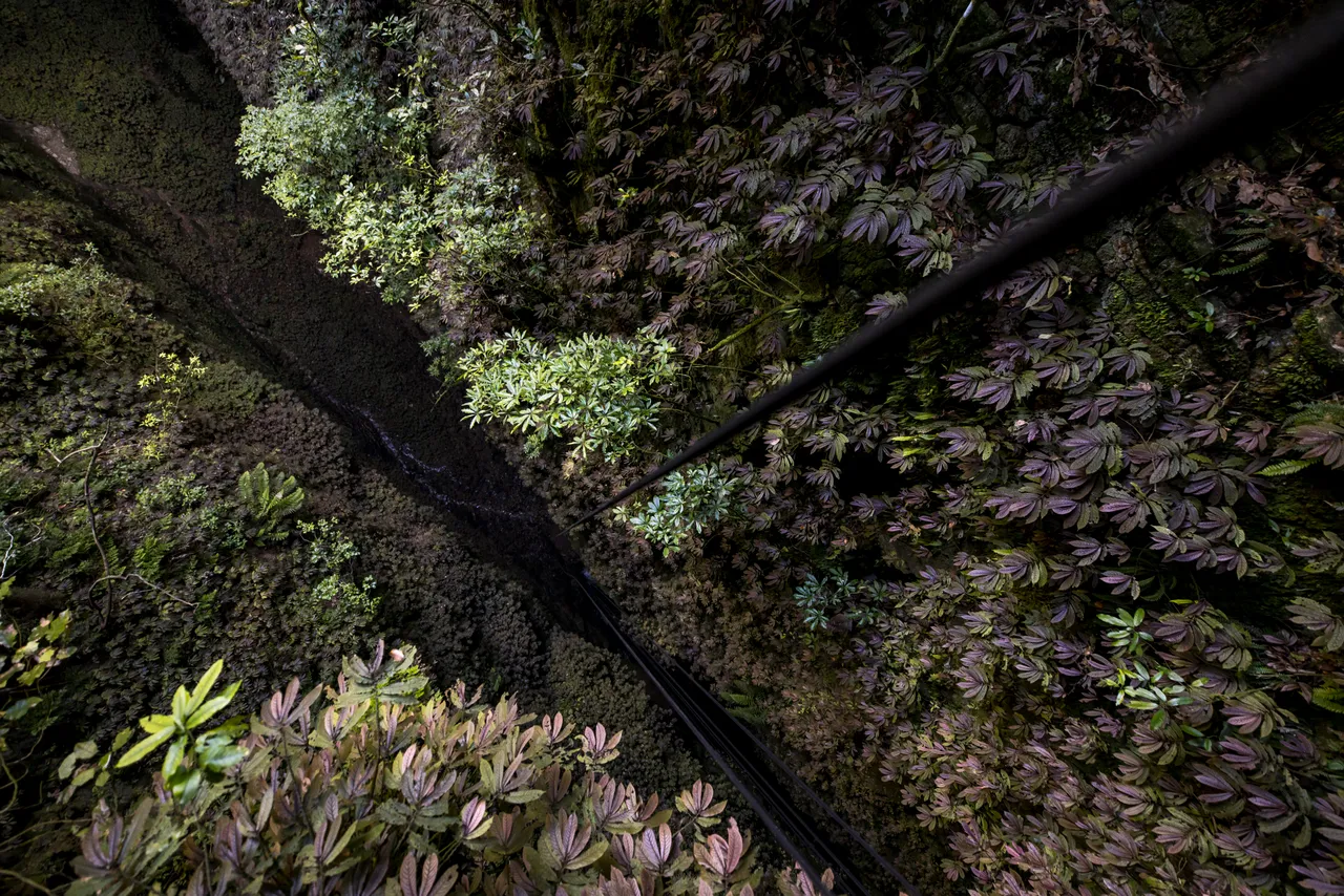 Waitomo, Waikato