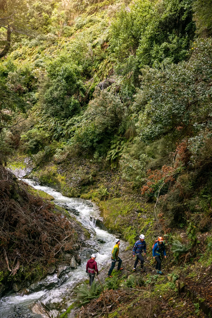 Wānaka, Otago