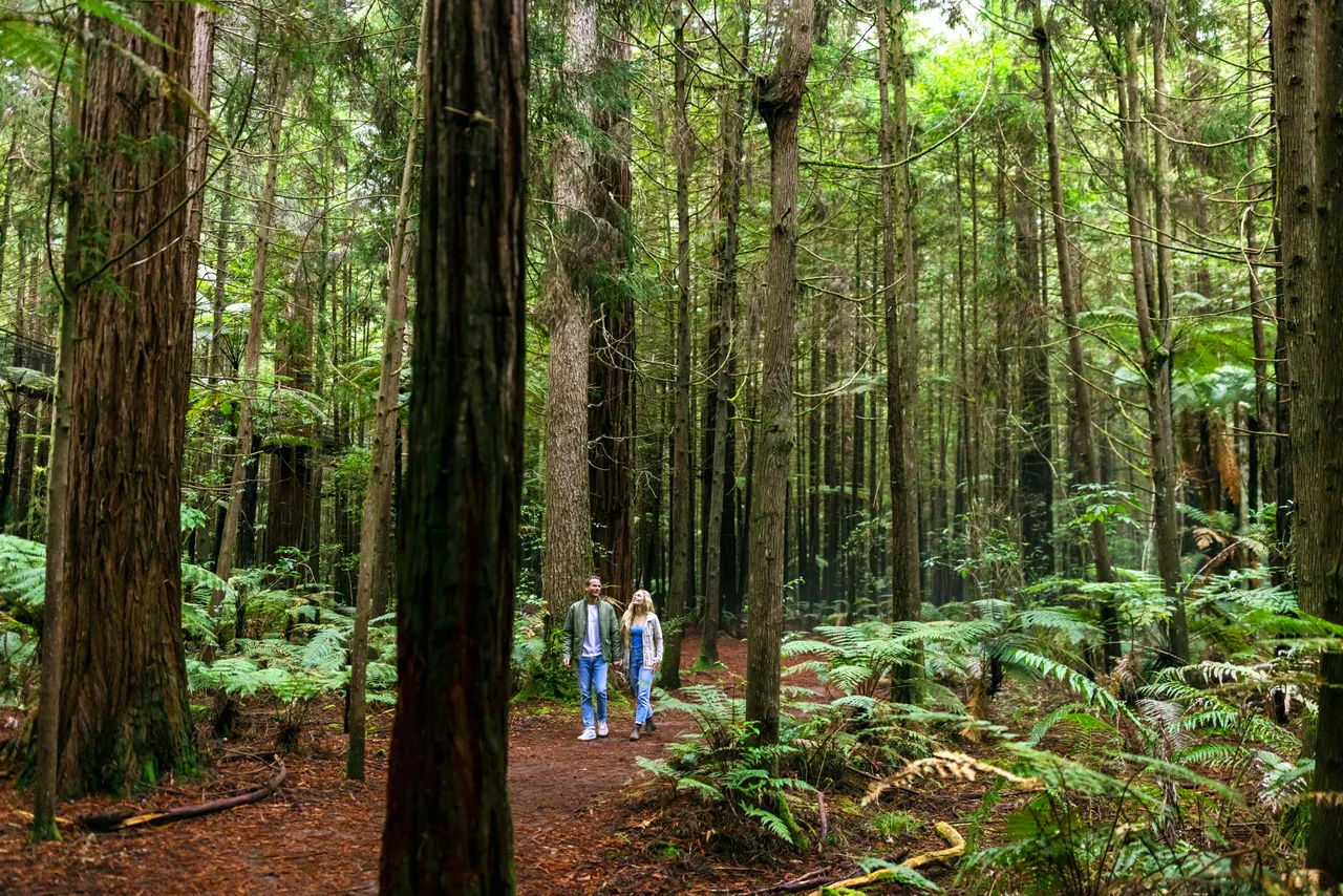 Rotorua, Bay of Plenty