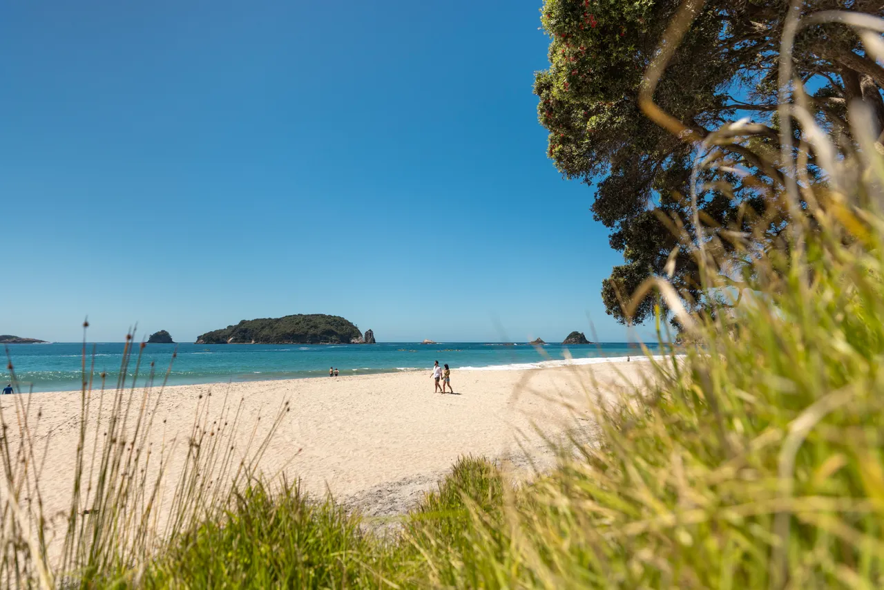 Hahei, Coromandel