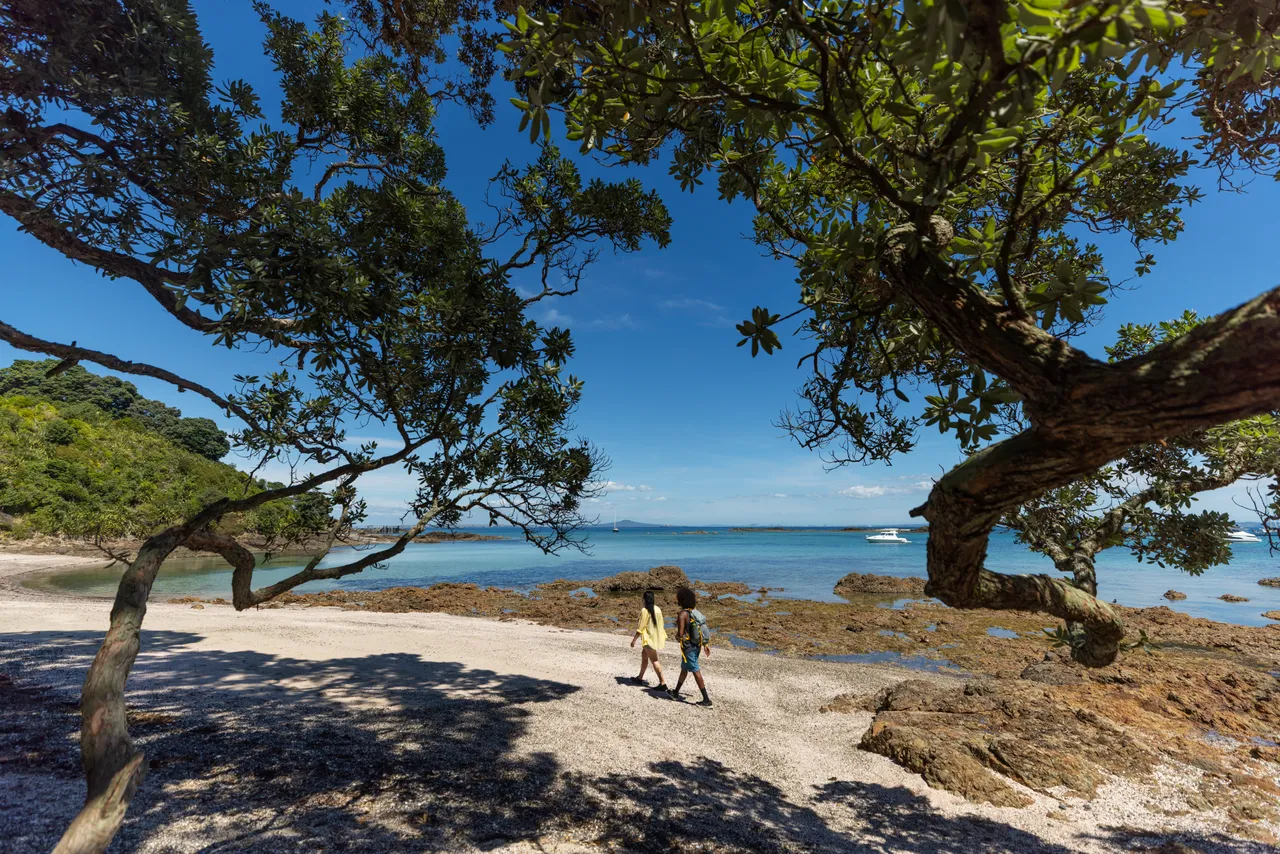 Tiritiri Matangi Island, Auckland