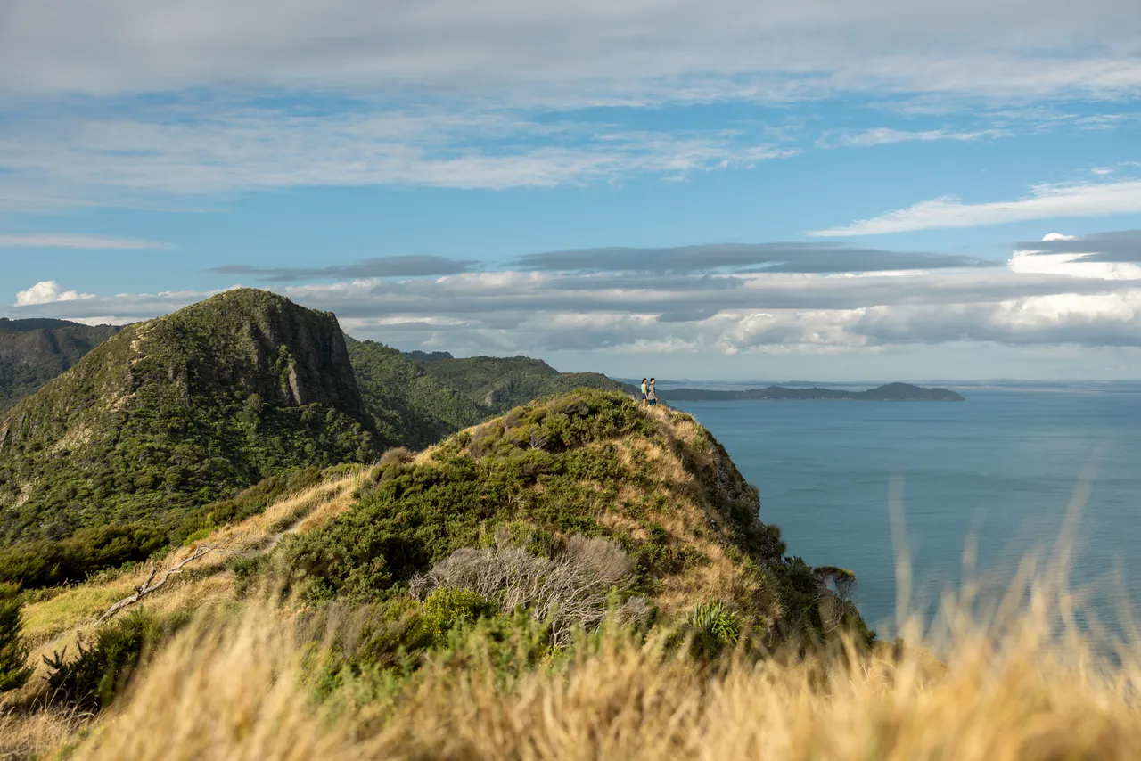 Tourism NZ Visual Library - Waitākere Ranges, Auckland