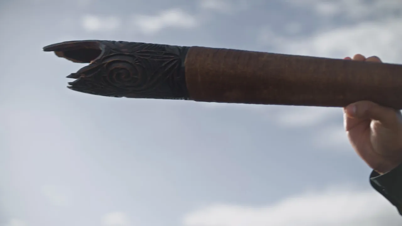 Asset 660164