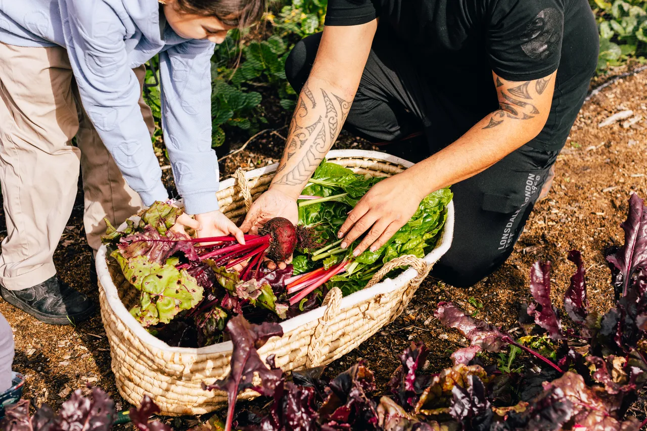 Close up of father and daughter placing freshly picked vegetables in basket