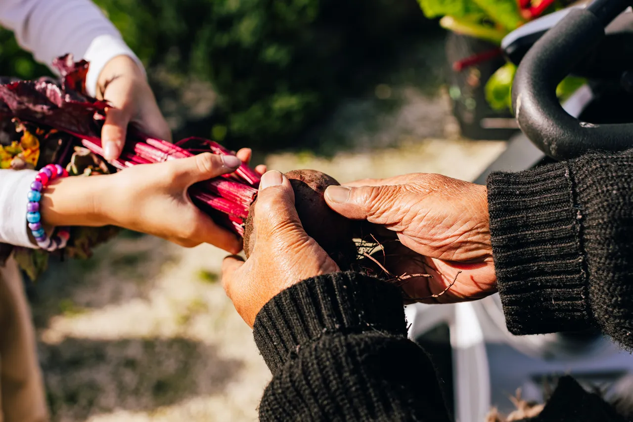 Closeup of granddaughter handing grandmother vegetables