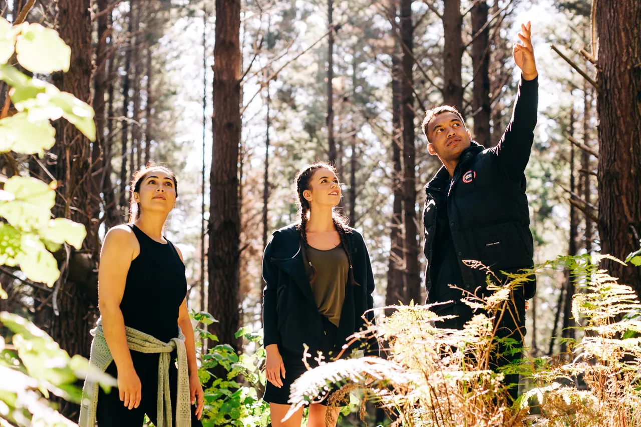 Group admire surrounding trees in forest