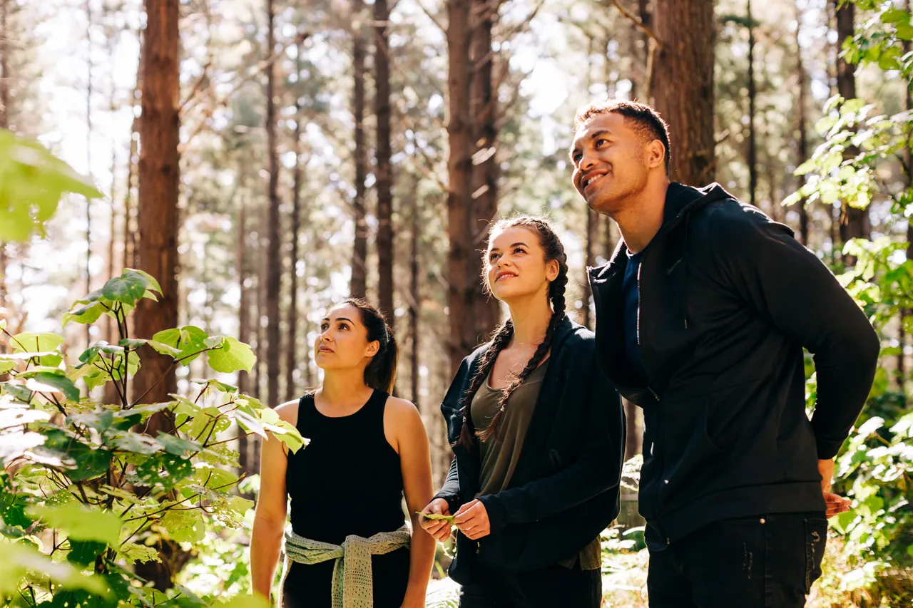Group admire surrounding nature while on walk