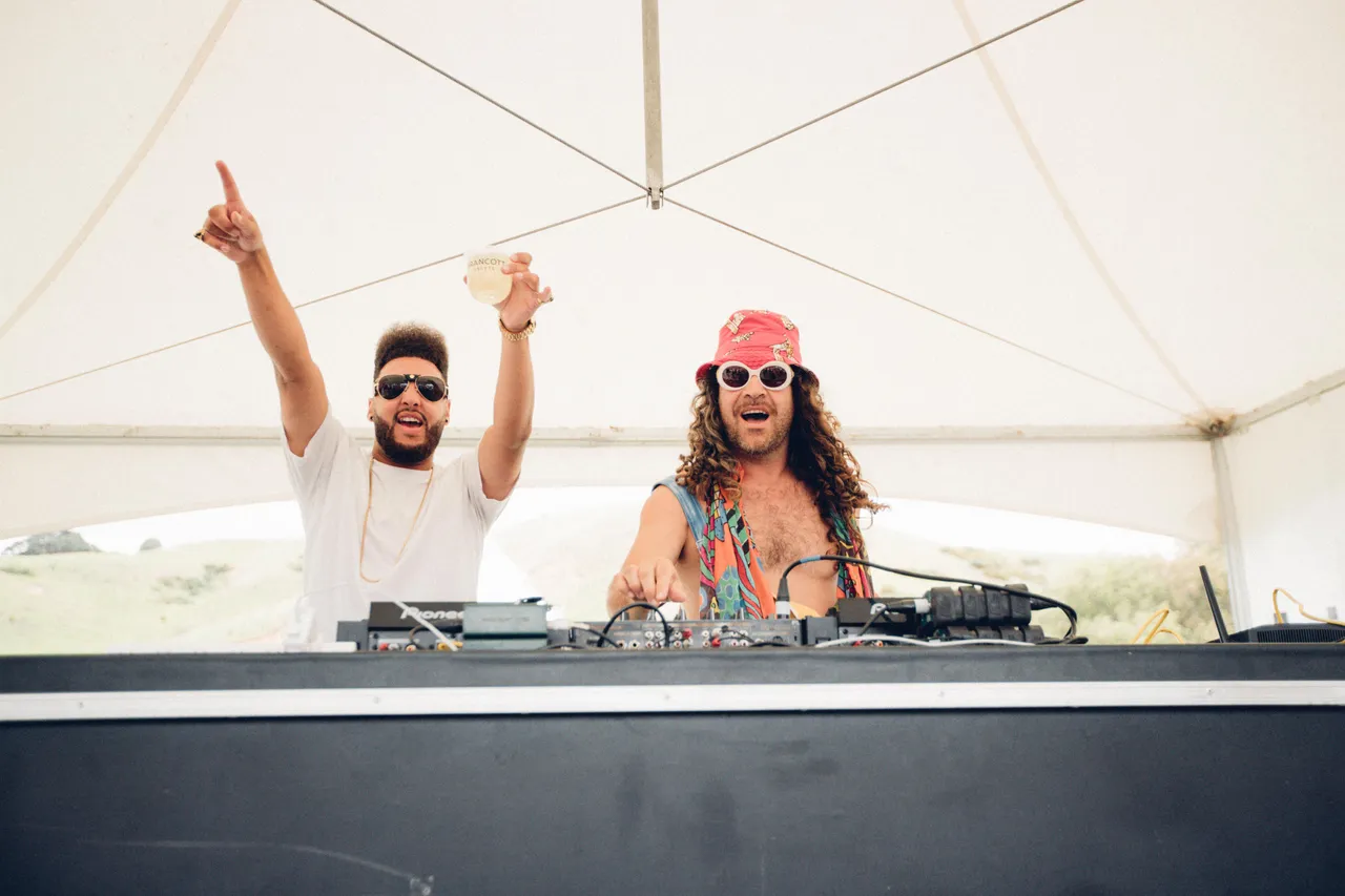 Musical artist at festival