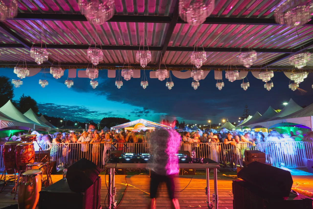 Crowd watching DJ set at festival