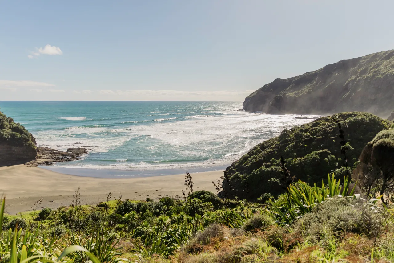 West coast Auckland beach landscape