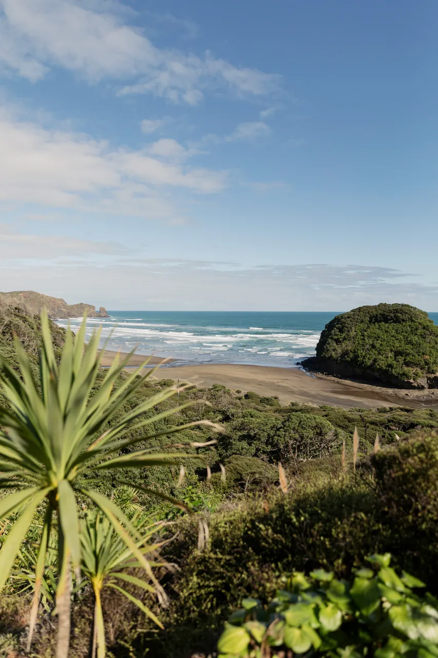 Landscape of coastal Auckland