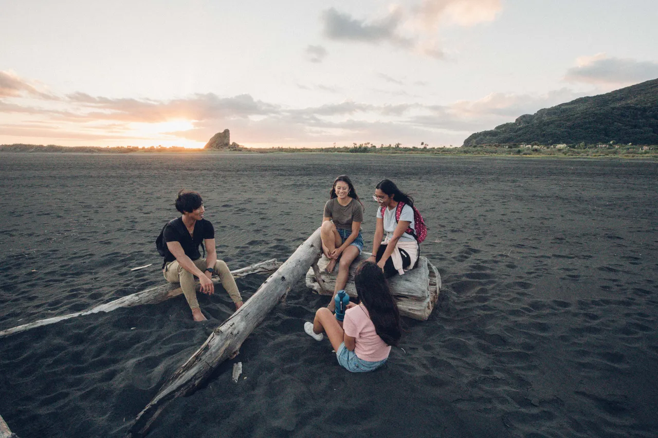 People sitting on logs on the beach