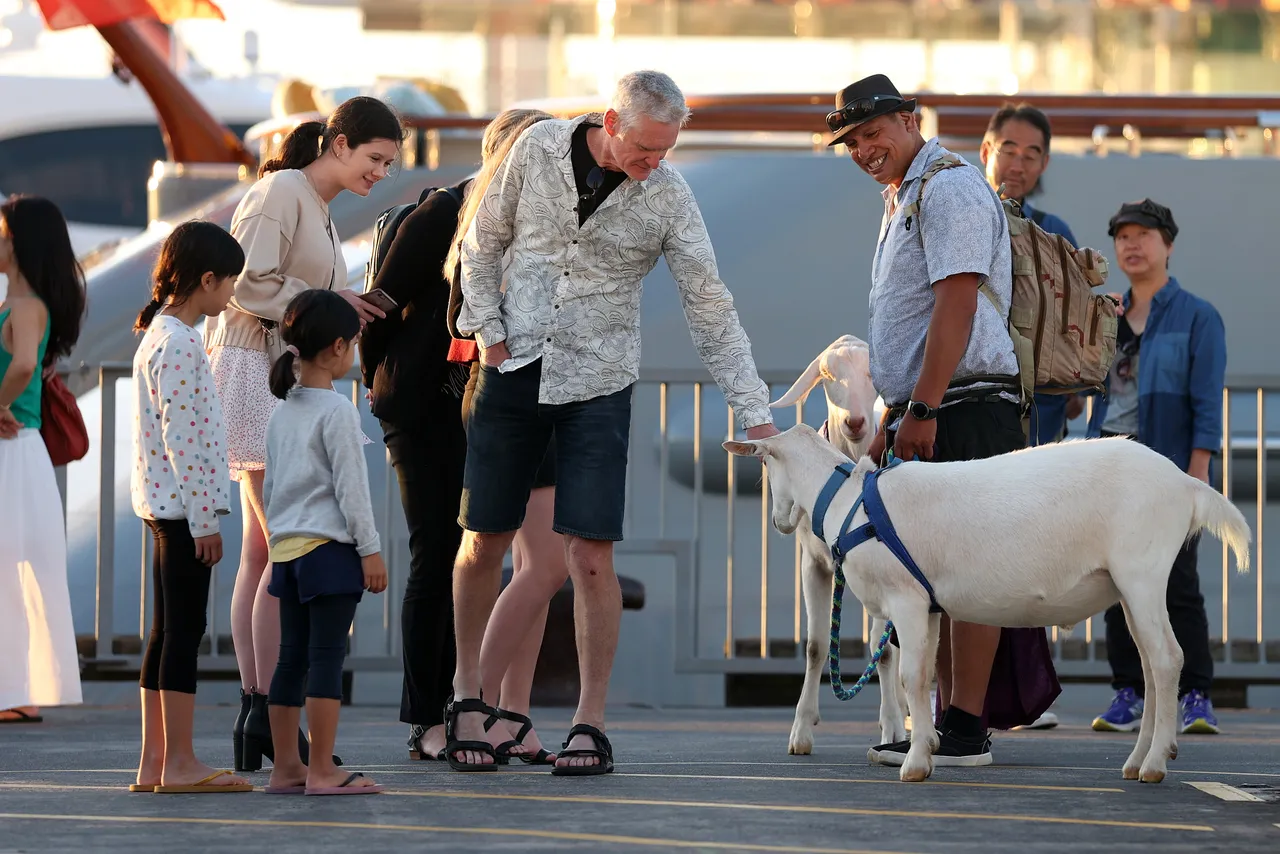 People at outdoor event in Auckland