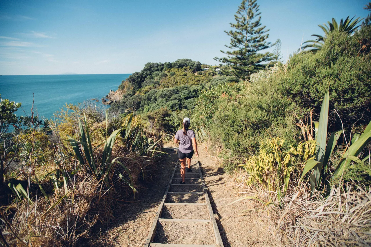Walking trail on Waiheke Island