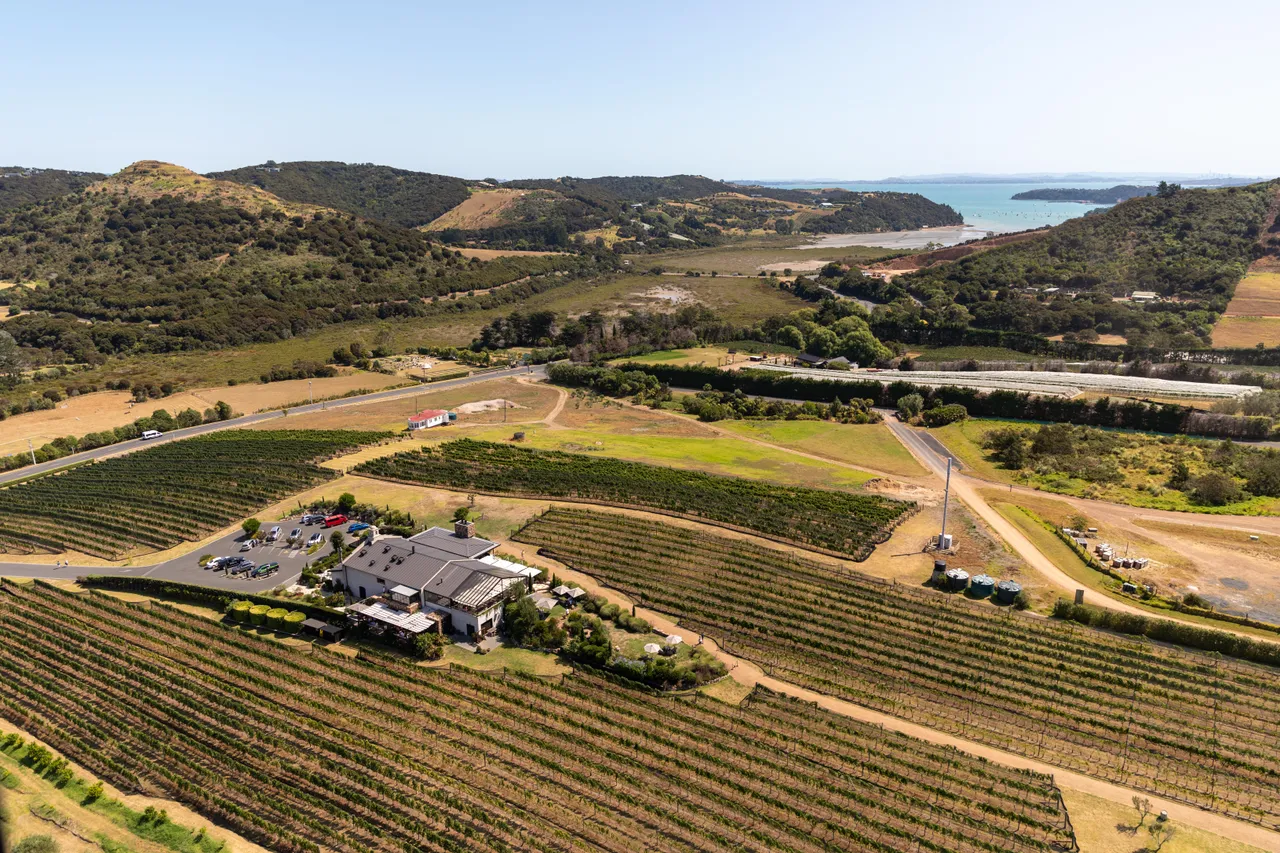 Waiheke Vineyard from above