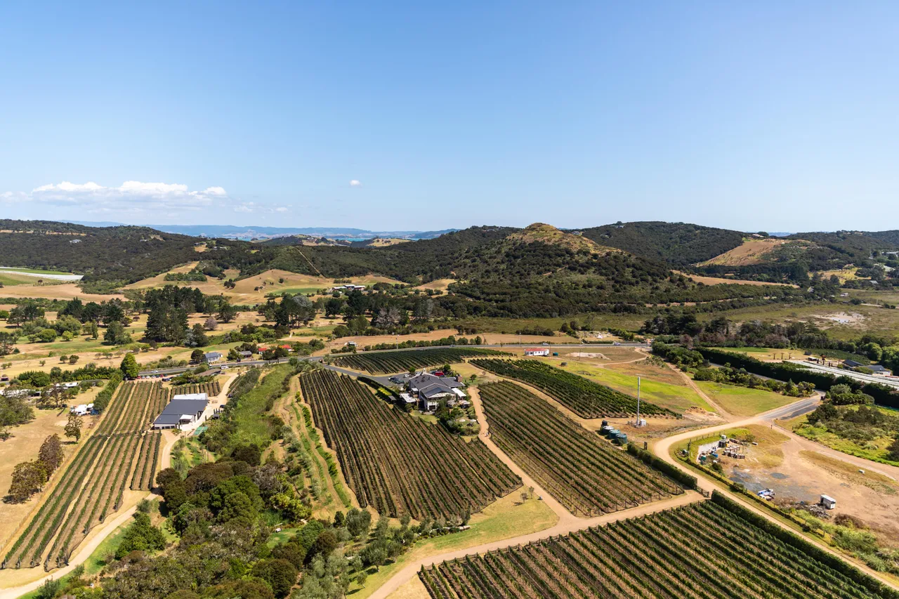 Waiheke Vineyard aerial