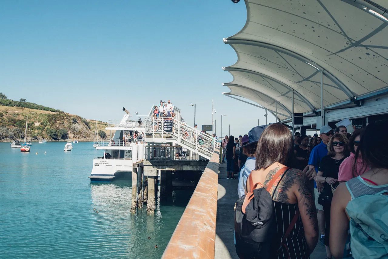 Busy Matiatia Wharf, Waiheke Island