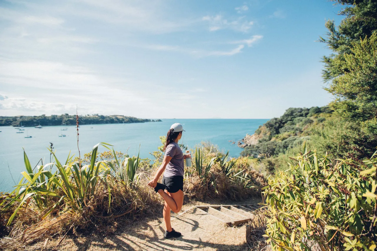Bush and headland trail, Waiheke Island