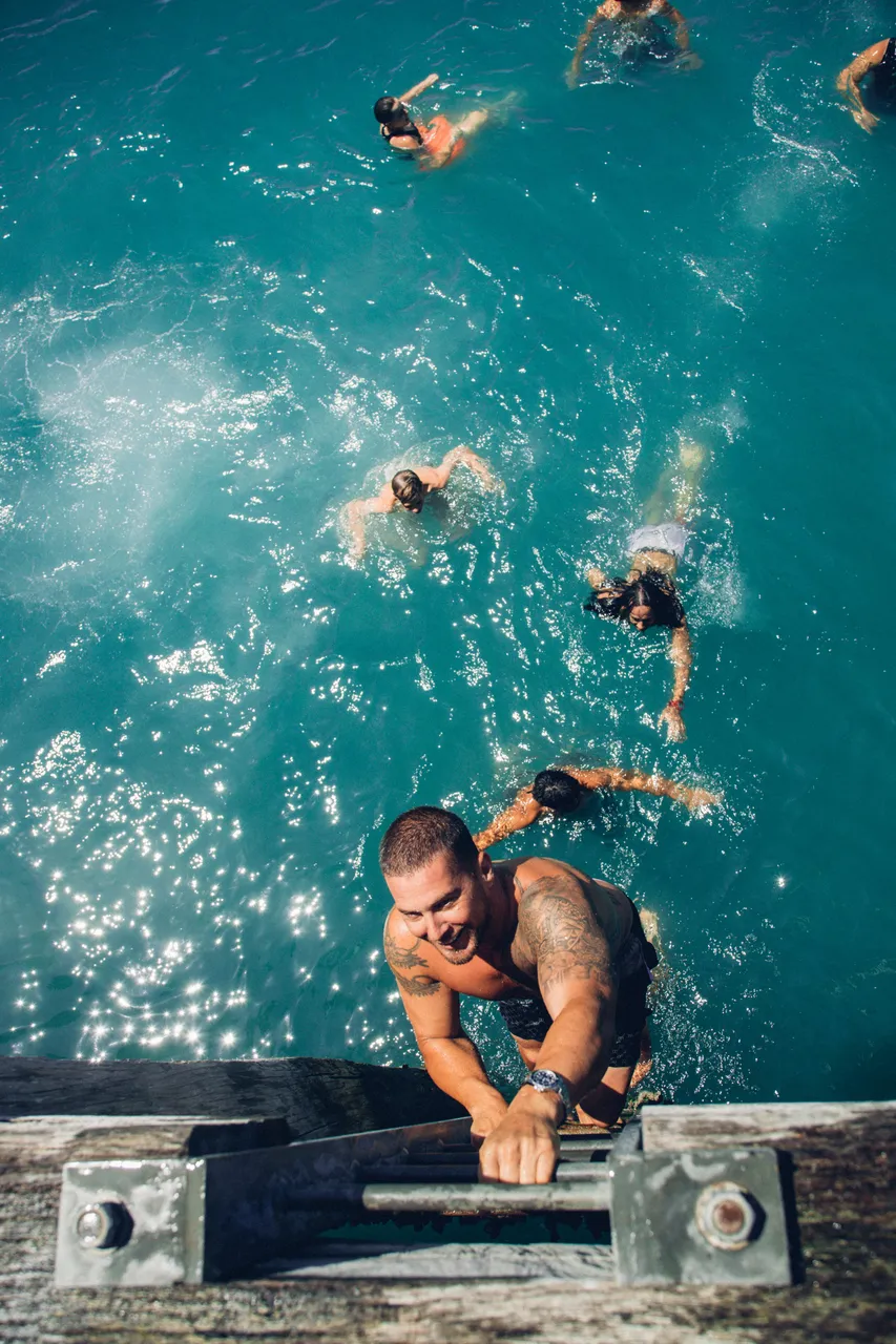 Harbour swimming, Central Auckland