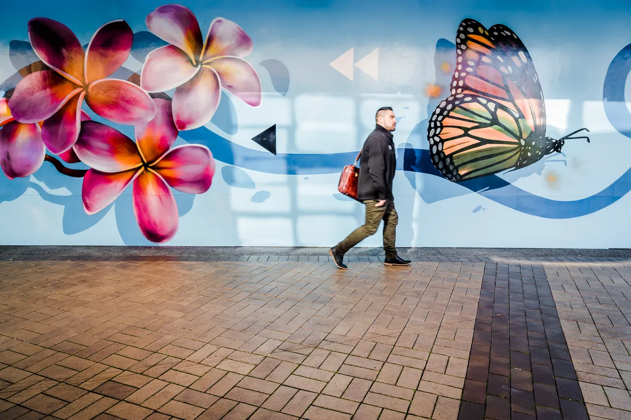 Rerenga mural, Manukau