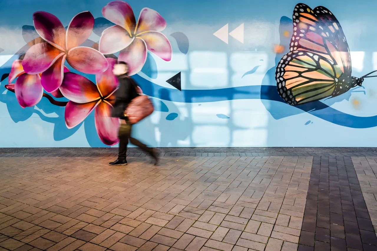 Rerenga mural, Manukau