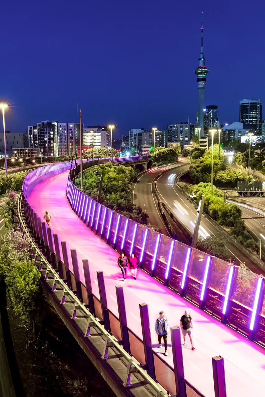 Te Ara i Whiti - the Lightpath