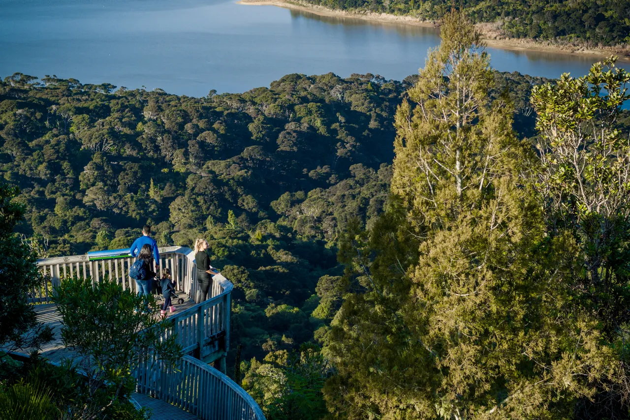 Viewing platform, Arataki Visitor Centre
