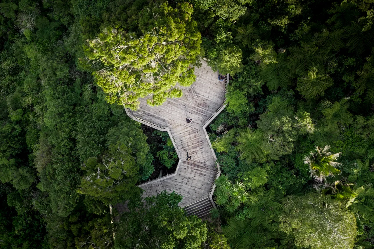 Viewing platform, Arataki Visitor Centre