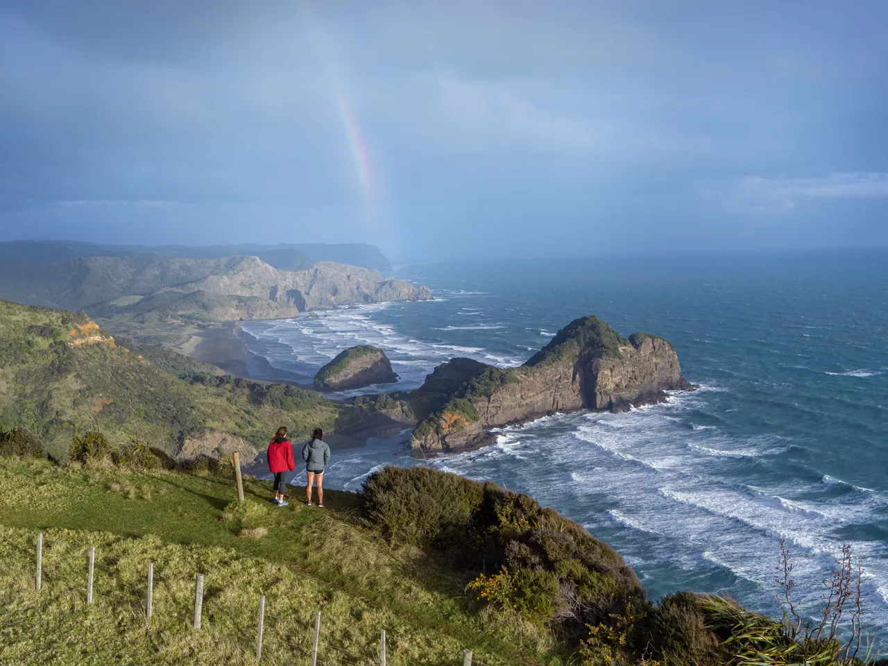 Auckland Brand Library - Walking at Te Henga