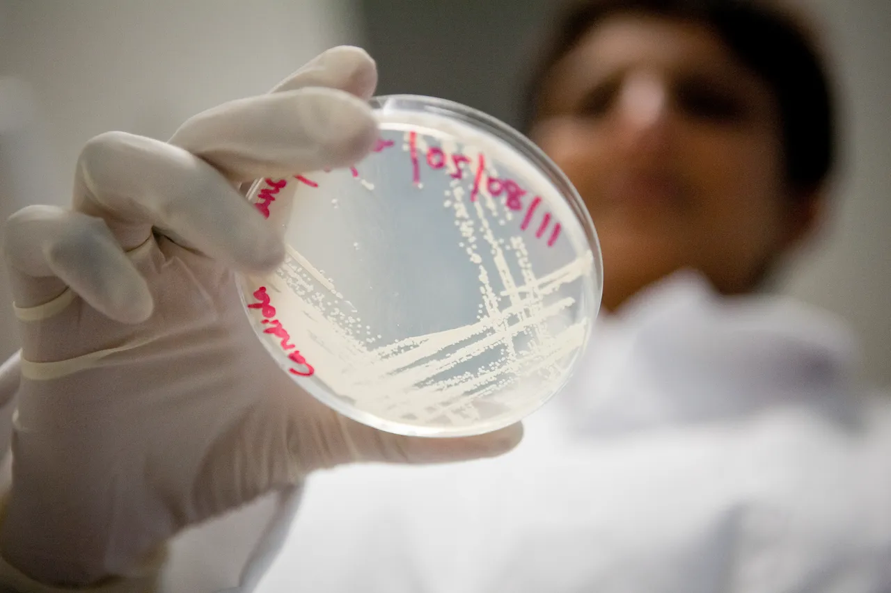 Institute for Innovation in Biotechnology, University of Auckland