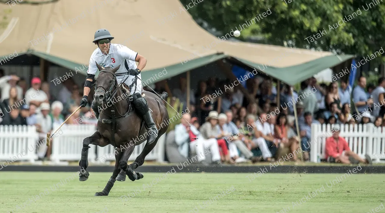 A polo player on a galloping horse swings at a ball as spectators watch from beneath a tent.