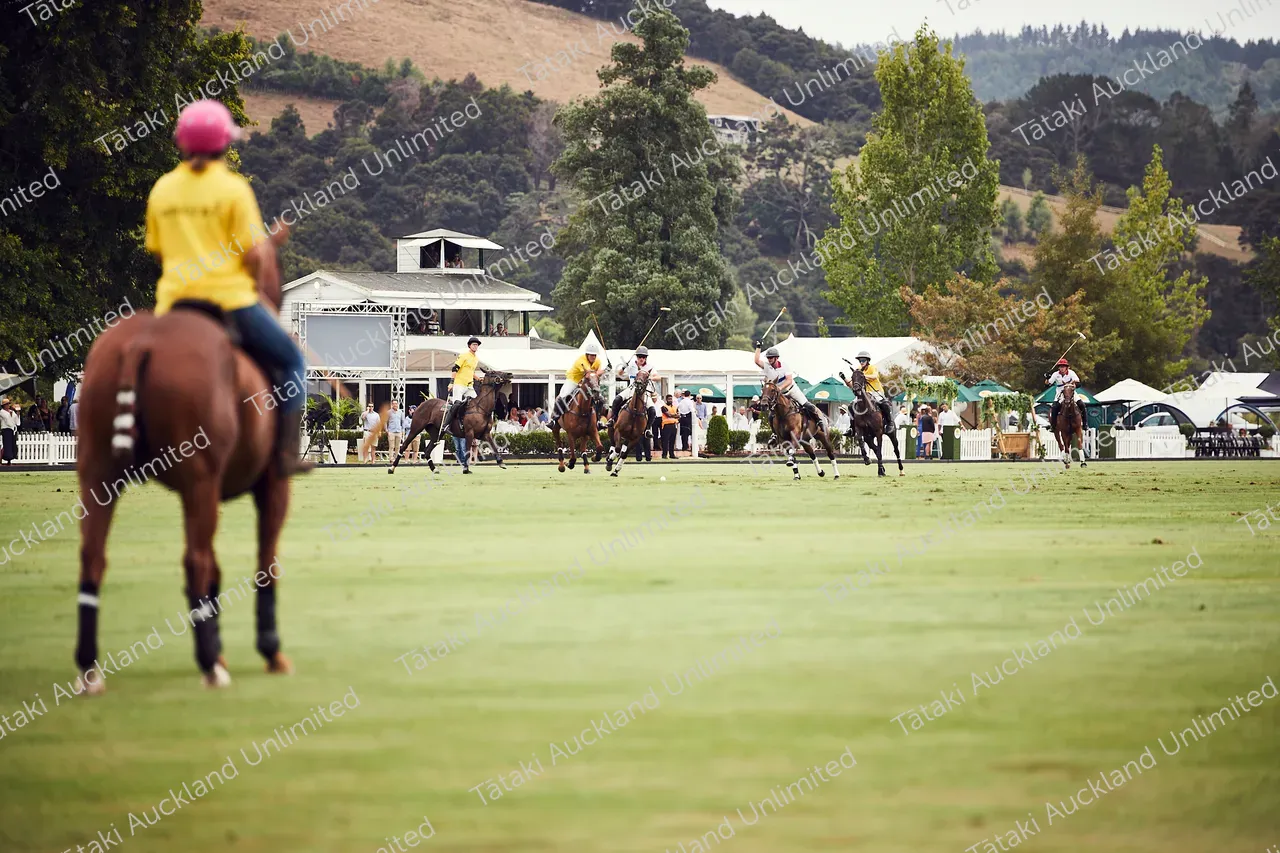 A mounted player watches a polo match unfold across a green field.