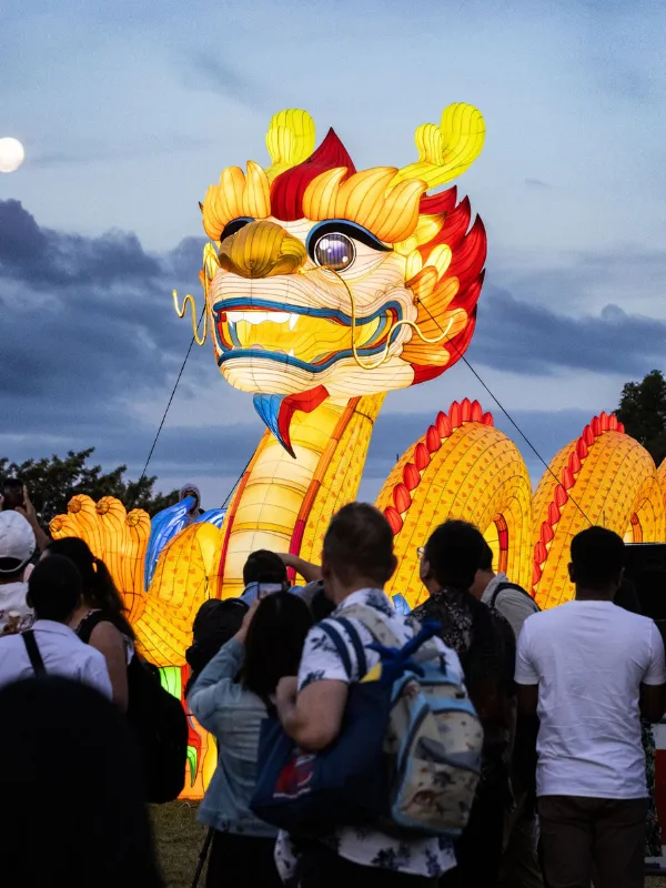 Album cover Collective Worlds