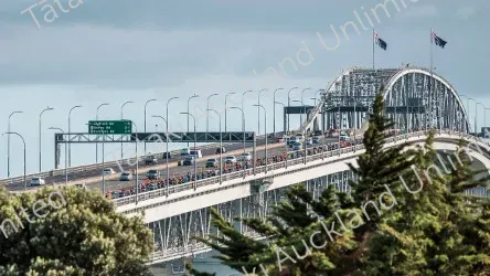 Auckland Marathon 2025