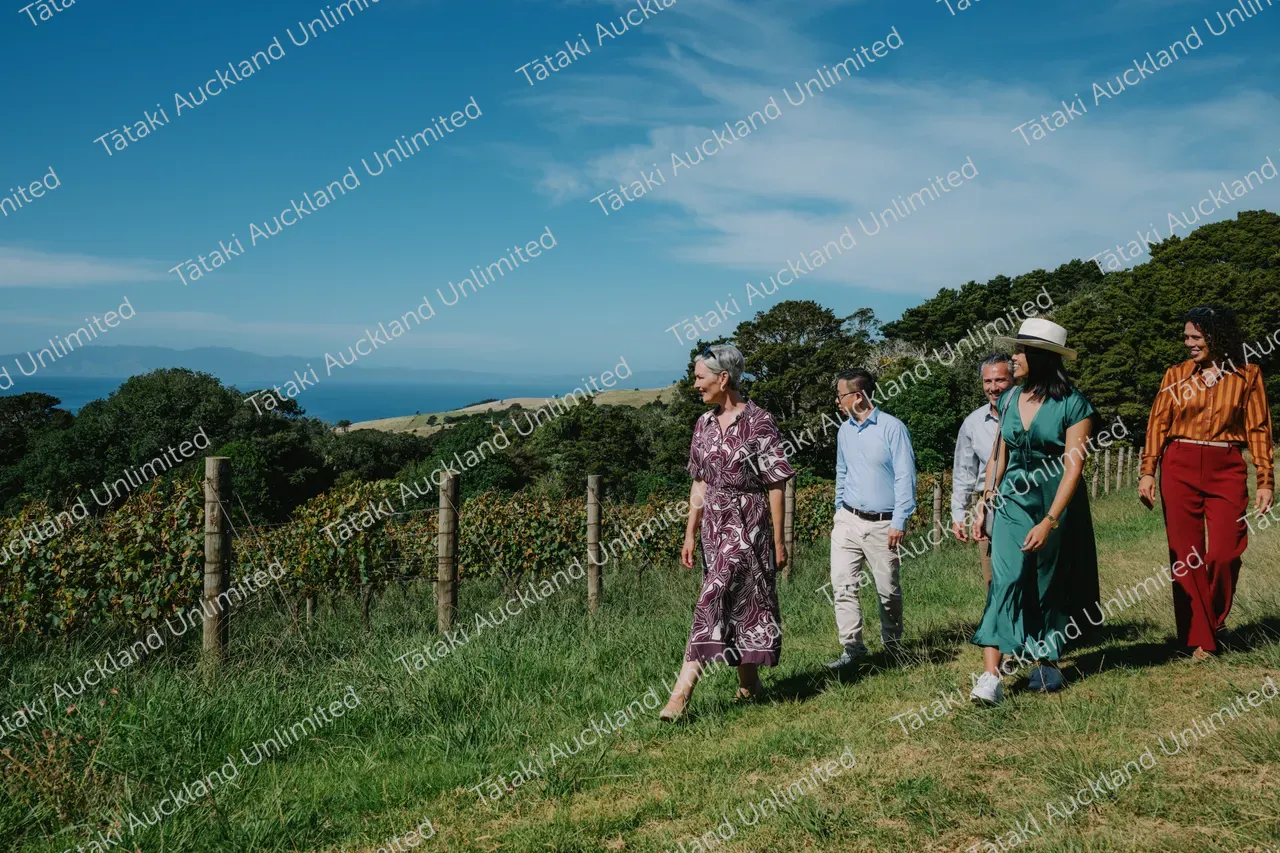 Group of business professionals walking through vines at Waiheke vineyard 