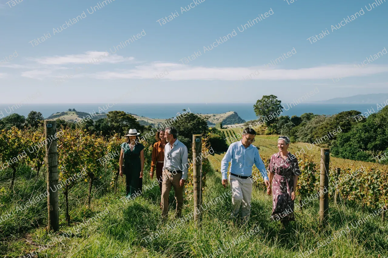 Group of business professionals walking through vines at Waiheke vineyard 3