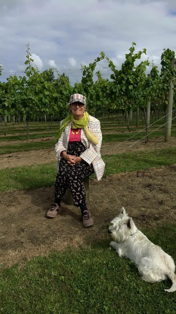 Sue at David and Janet's Vineyard with Harry