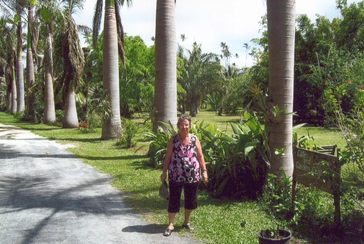 Sue - Various_0023_a