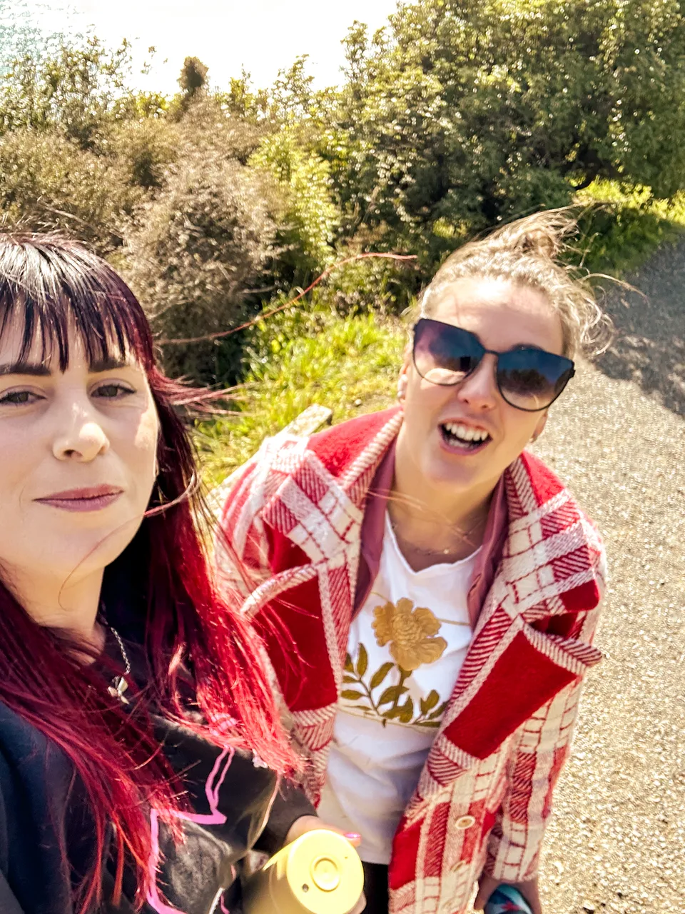 0924-Nugget-Point-17
