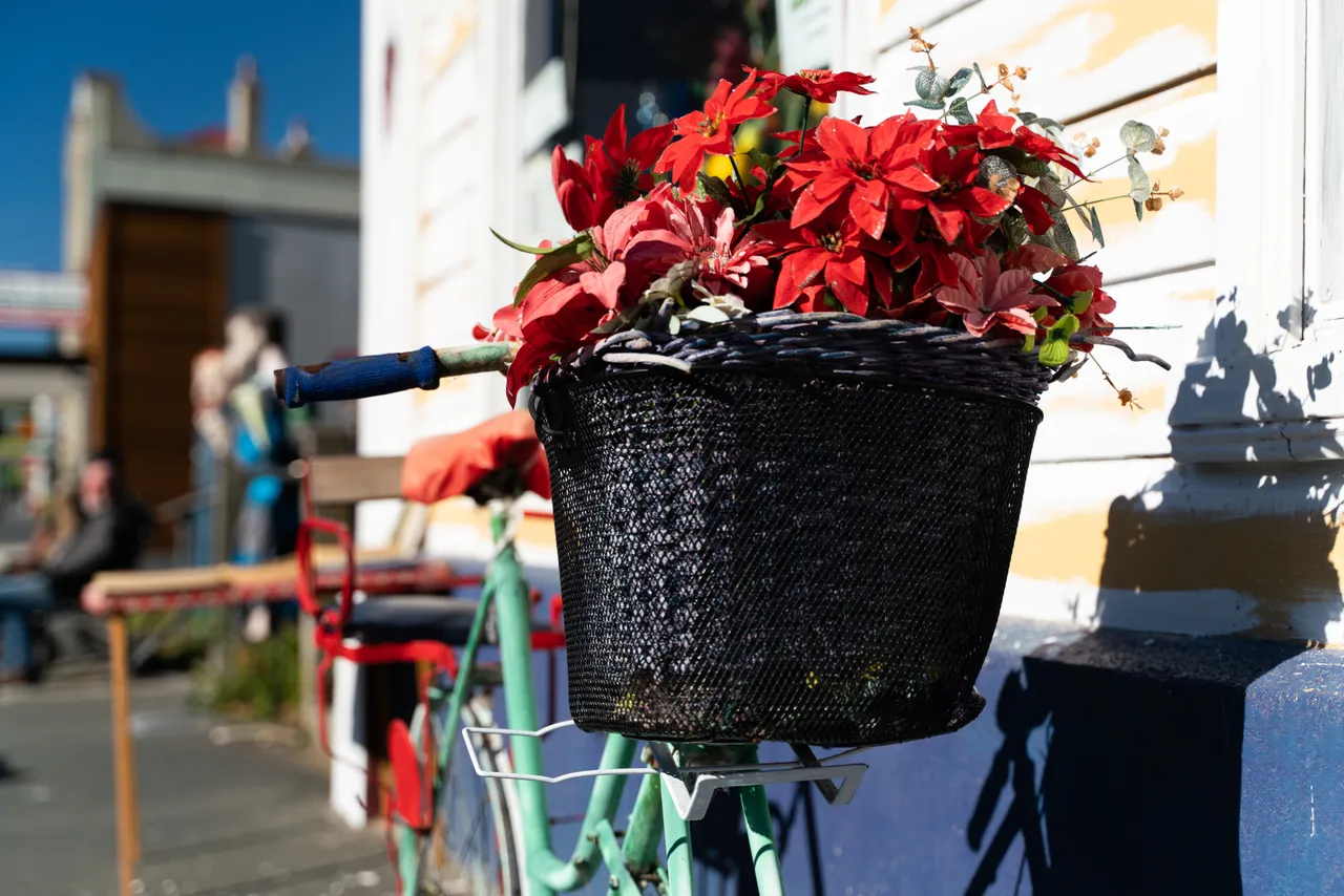 Bike with flowers in basket