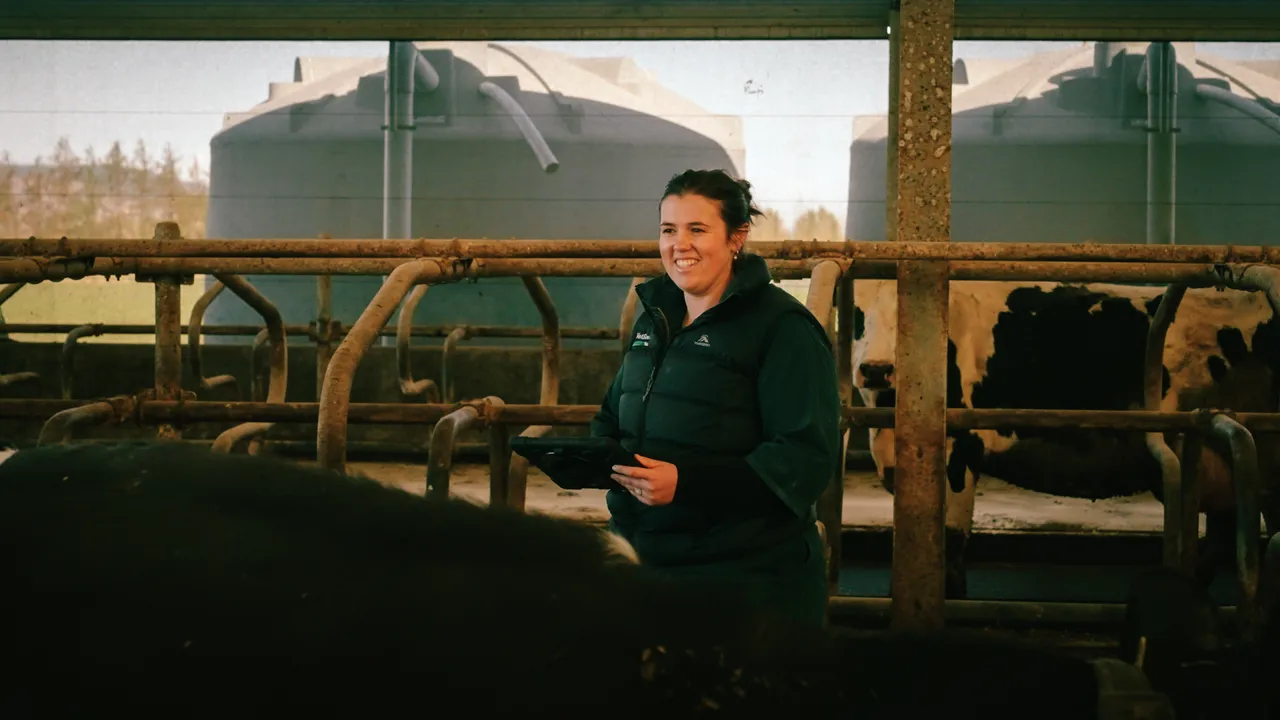 0825-Clutha-VetSouth-099