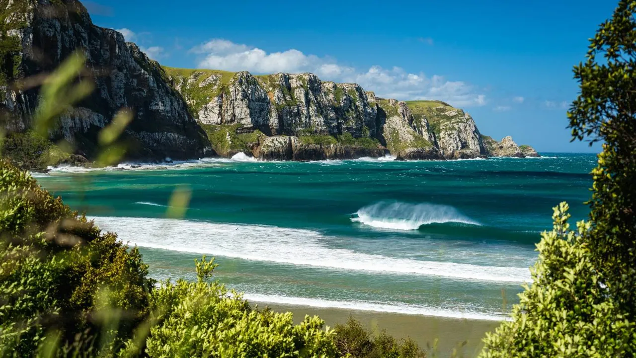 Time for a road trip: Dunedin, Waitaki & Clutha
