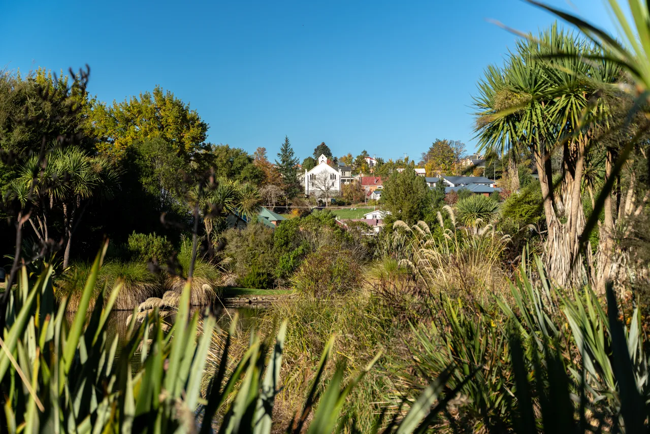 Pond and trees